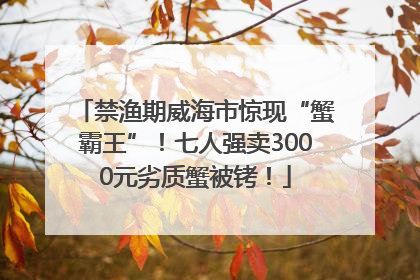 禁渔期威海市惊现“蟹霸王”！七人强卖3000元劣质蟹被铐！
