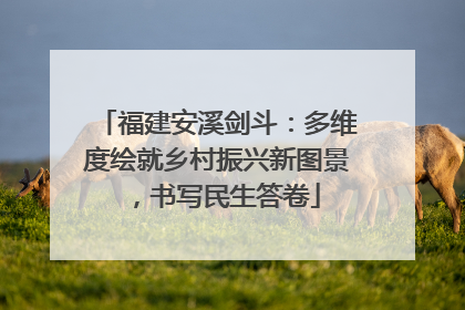 福建安溪剑斗：多维度绘就乡村振兴新图景，书写民生答卷