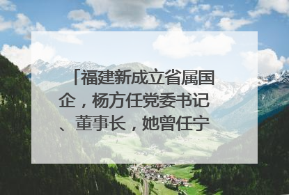 福建新成立省属国企，杨方任党委书记、董事长，她曾任宁德市委副书记｜张田怡已任县委副书记、县政府党组书记