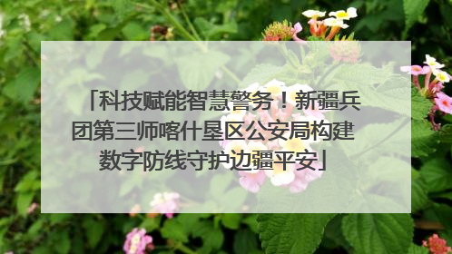 科技赋能智慧警务！新疆兵团第三师喀什垦区公安局构建数字防线守护边疆平安