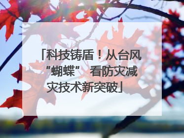 科技铸盾！从台风“蝴蝶” 看防灾减灾技术新突破