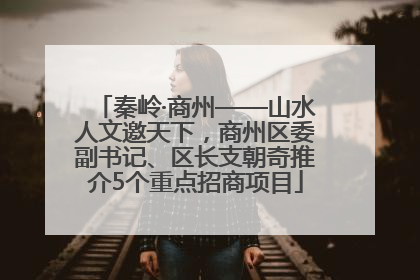 秦岭·商州——山水人文邀天下，商州区委副书记、区长支朝奇推介5个重点招商项目