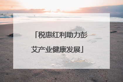 税惠红利助力彭艾产业健康发展