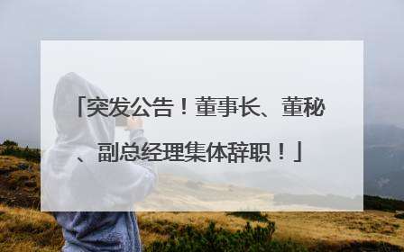 突发公告！董事长、董秘、副总经理集体辞职！