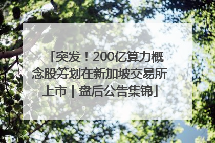 突发！200亿算力概念股筹划在新加坡交易所上市｜盘后公告集锦
