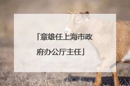 章雄任上海市政府办公厅主任