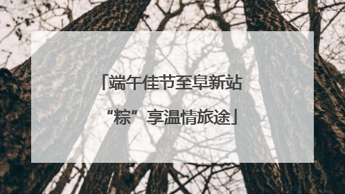端午佳节至阜新站“粽”享温情旅途