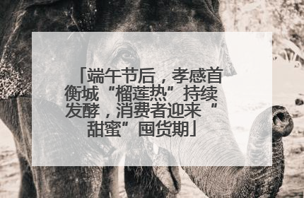 端午节后，孝感首衡城“榴莲热”持续发酵，消费者迎来“甜蜜”囤货期