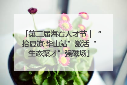 第三届海右人才节｜“拾夏凉·华山站”激活“生态聚才”强磁场