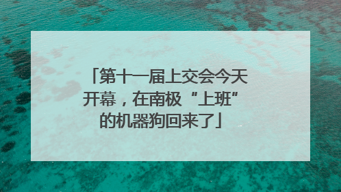 第十一届上交会今天开幕，在南极“上班”的机器狗回来了