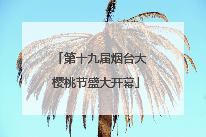 第十九届烟台大樱桃节盛大开幕