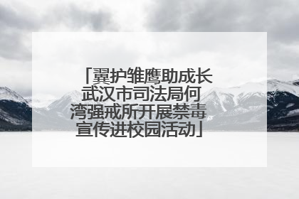 翼护雏鹰助成长 武汉市司法局何湾强戒所开展禁毒宣传进校园活动