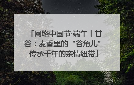 网络中国节·端午丨甘谷：麦香里的“谷角儿” 传承千年的亲情纽带