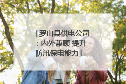 罗山县供电公司：内外兼顾 提升防汛保电能力