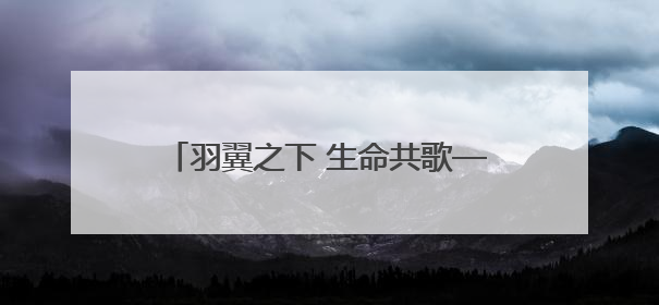 羽翼之下 生命共歌——祁连山国家公园候选区青海片区鸟类观察手记