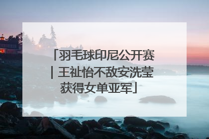 羽毛球印尼公开赛｜王祉怡不敌安洗莹 获得女单亚军