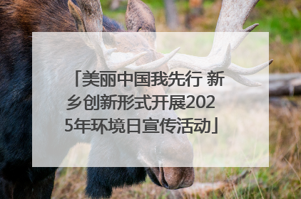 美丽中国我先行 新乡创新形式开展2025年环境日宣传活动