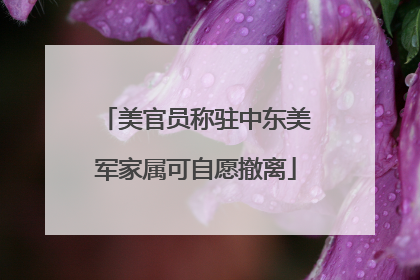 美官员称驻中东美军家属可自愿撤离