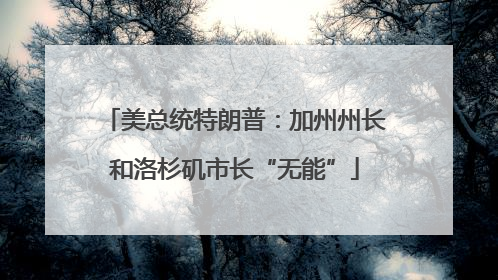 美总统特朗普：加州州长和洛杉矶市长“无能”