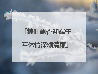 粽叶飘香迎端午 军休情深颂清廉