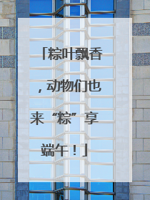 粽叶飘香，动物们也来“粽”享端午！