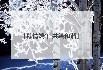 粽情端午 共绘和谐