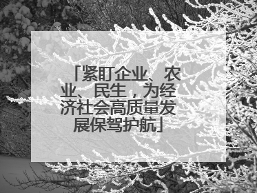 紧盯企业、农业、民生，为经济社会高质量发展保驾护航