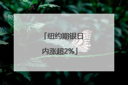 纽约期银日内涨超2%
