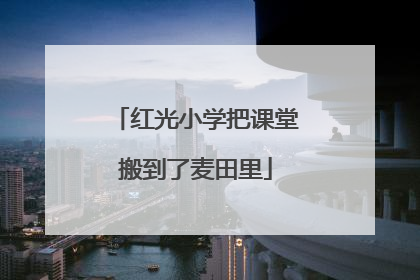 红光小学把课堂搬到了麦田里