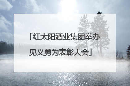红太阳酒业集团举办见义勇为表彰大会