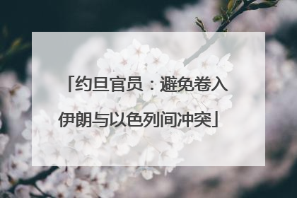 约旦官员：避免卷入伊朗与以色列间冲突