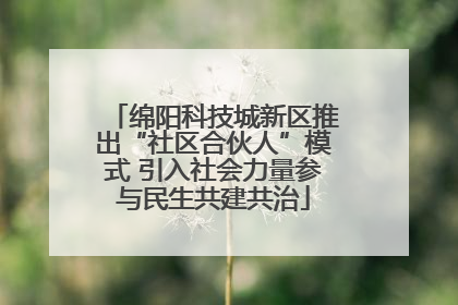 绵阳科技城新区推出“社区合伙人”模式 引入社会力量参与民生共建共治