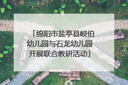 绵阳市盐亭县岐伯幼儿园与石龙幼儿园开展联合教研活动