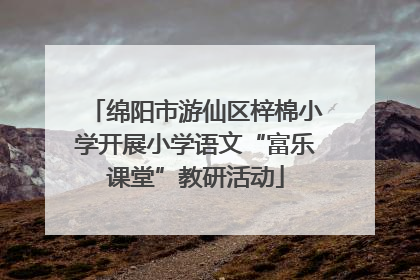 绵阳市游仙区梓棉小学开展小学语文“富乐课堂”教研活动