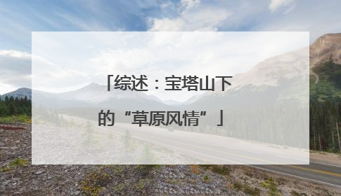 综述：宝塔山下的“草原风情”