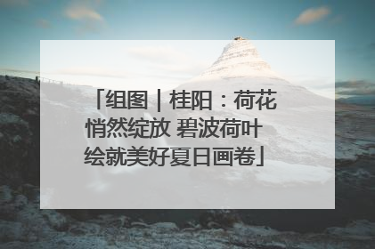 组图｜桂阳：荷花悄然绽放 碧波荷叶绘就美好夏日画卷
