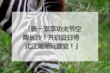 统一双萃功夫节空降长沙！开启夏日粤式江湖潮玩盛宴！
