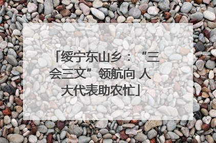 绥宁东山乡：“三会三文”领航向 人大代表助农忙