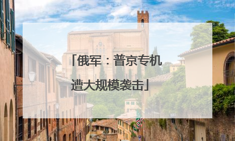 俄军：普京专机遭大规模袭击