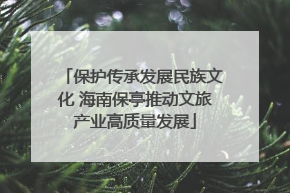 保护传承发展民族文化 海南保亭推动文旅产业高质量发展