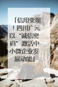 信用变现！四川广元以“诚信密码”激活中小微企业发展动能