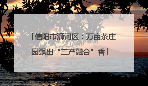 信阳市浉河区：万亩茶庄园飘出“三产融合”香