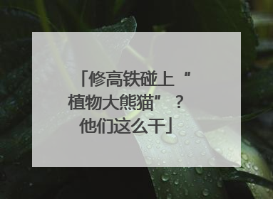 修高铁碰上“植物大熊猫”？他们这么干