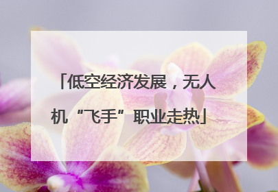 低空经济发展，无人机“飞手”职业走热