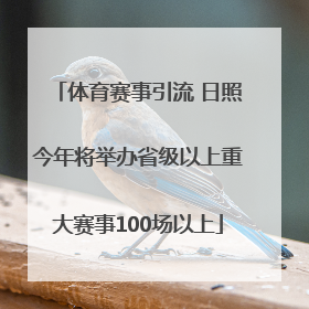 体育赛事引流 日照今年将举办省级以上重大赛事100场以上