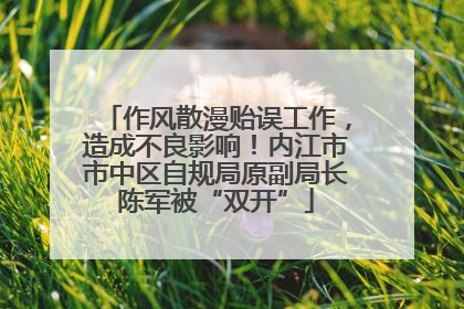 作风散漫贻误工作，造成不良影响！内江市市中区自规局原副局长陈军被“双开”