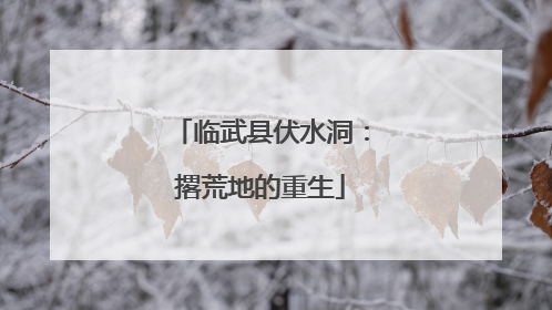 临武县伏水洞：撂荒地的重生