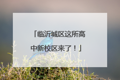 临沂城区这所高中新校区来了！