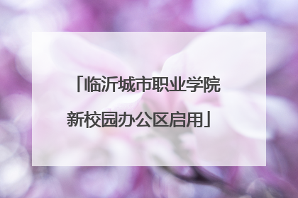 临沂城市职业学院新校园办公区启用