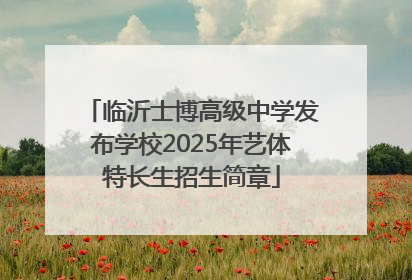 临沂士博高级中学发布学校2025年艺体特长生招生简章